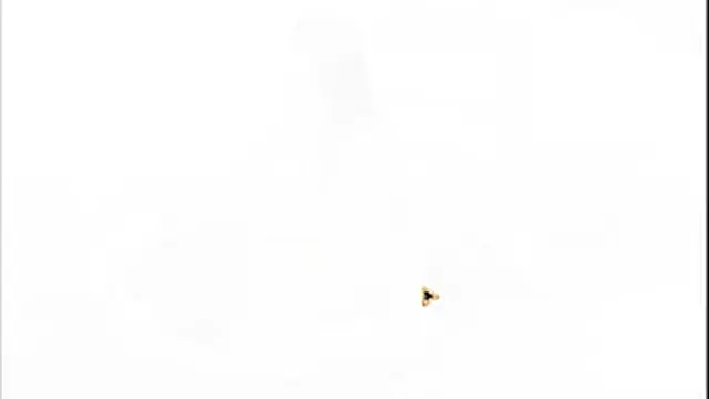 young man fucking every lady in the house part4