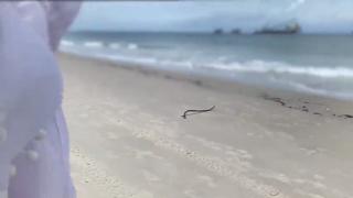 Giant Tits MILF squeezed me at the beach